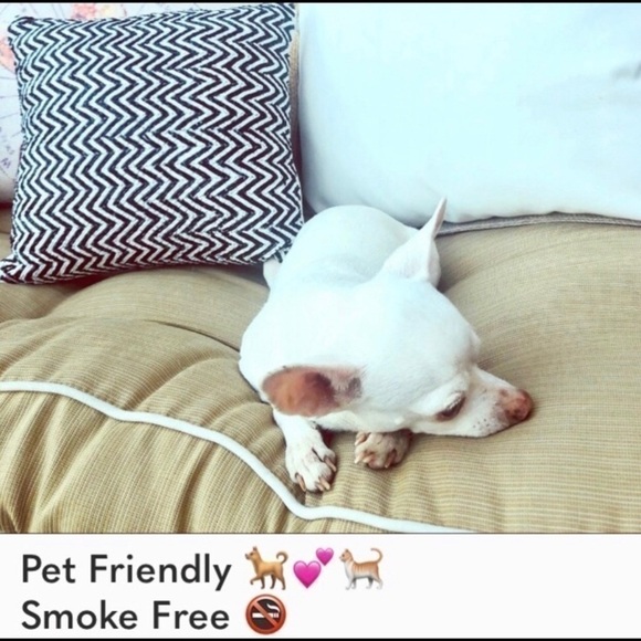 H&M zebra striped mini skirt NWOT - Picture 6 of 6